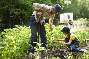 Jenis-jenis Alat yang Anda Butuhkan untuk Berkebun